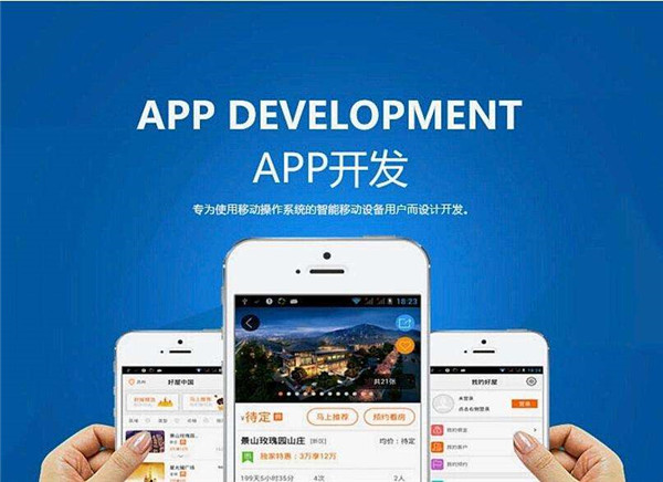 三種不同方式的APP開(kāi)發(fā)都有它自己適合的企業(yè)